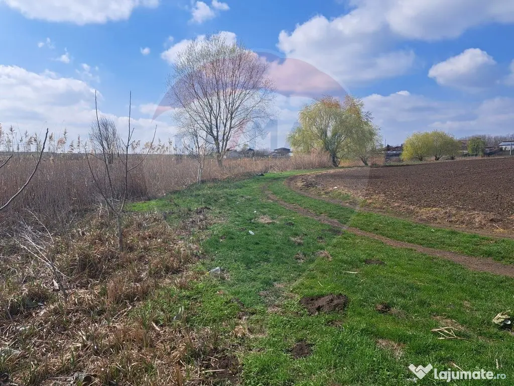 Teren Frumusani DN4 2000 mp + 5000 mp deschidere Lac Pasarea 