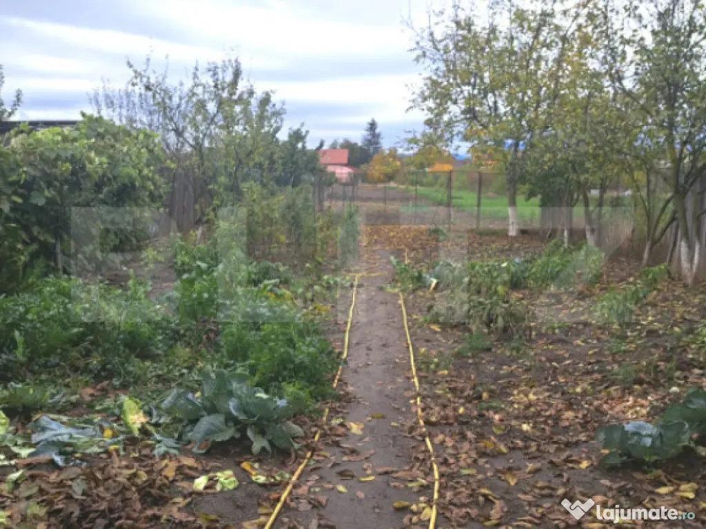 2 case lipite, ideale pentru 2 familii – Hărman, la doar