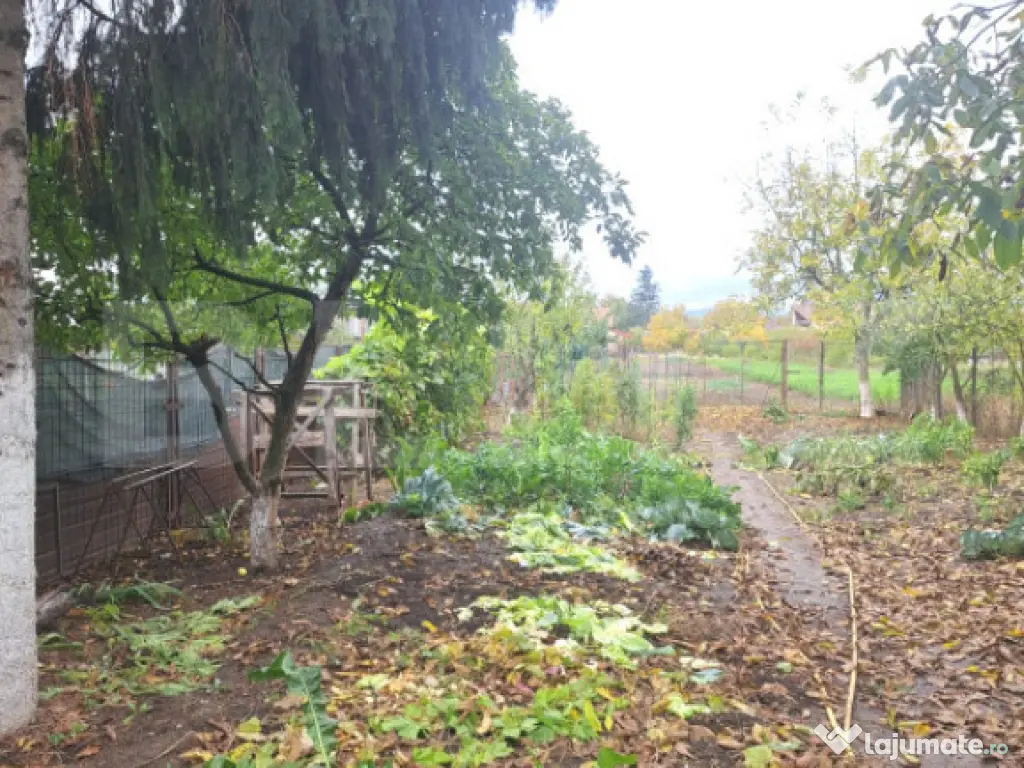 2 case lipite, ideale pentru 2 familii – Hărman, la doar