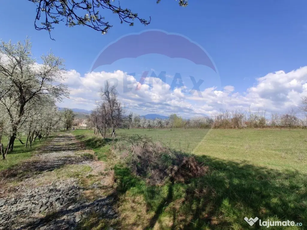 Teren intravilan pentru casă Cărbunari 