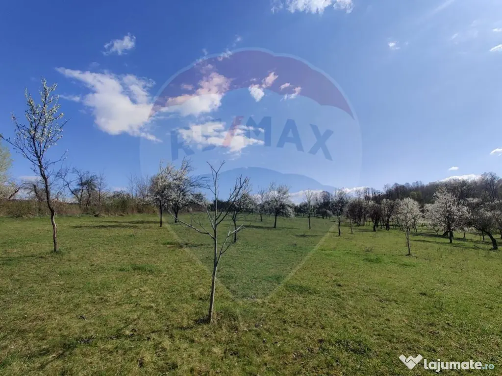 Teren intravilan pentru casă Cărbunari 