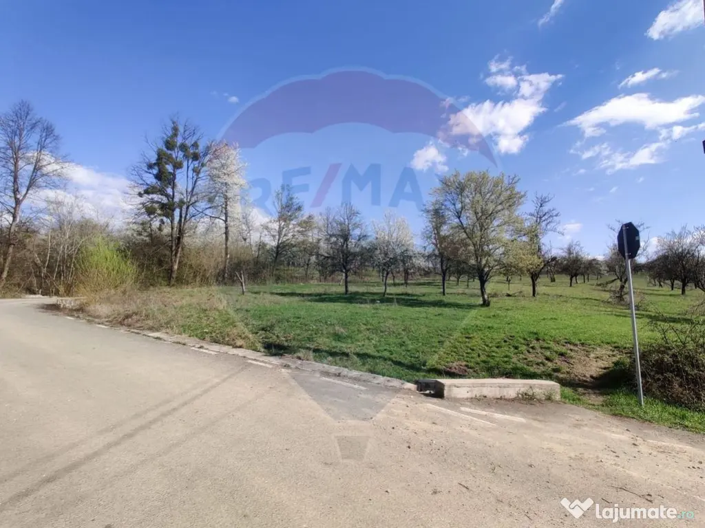 Teren intravilan pentru casă Cărbunari 