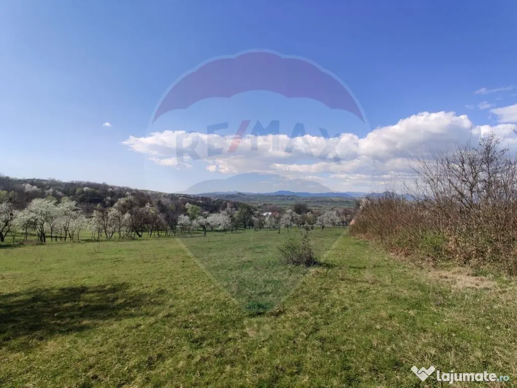 Teren intravilan pentru casă Cărbunari 