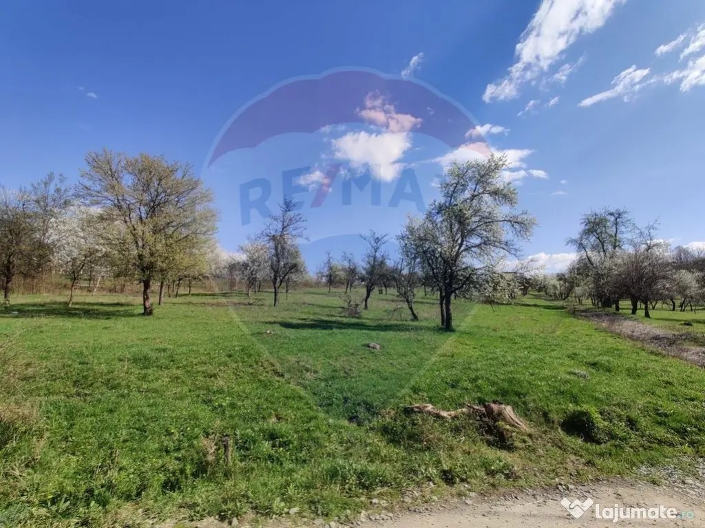 Teren intravilan pentru casă Cărbunari 