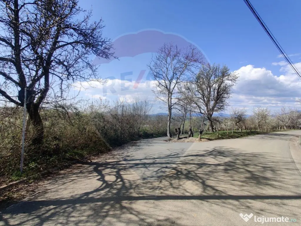 Teren intravilan pentru casă Cărbunari 