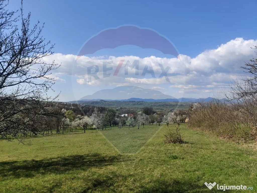 Teren intravilan pentru casă Cărbunari 