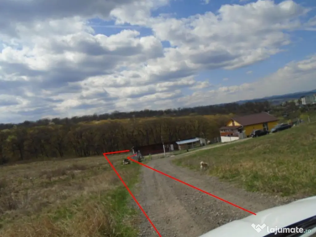 -teren extravilan, Hunedoara Jud Hunedoara 11.12