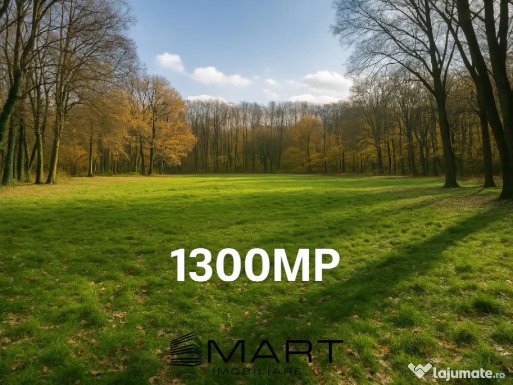 Teren cu vad exceptional 1300mp zona Subarini