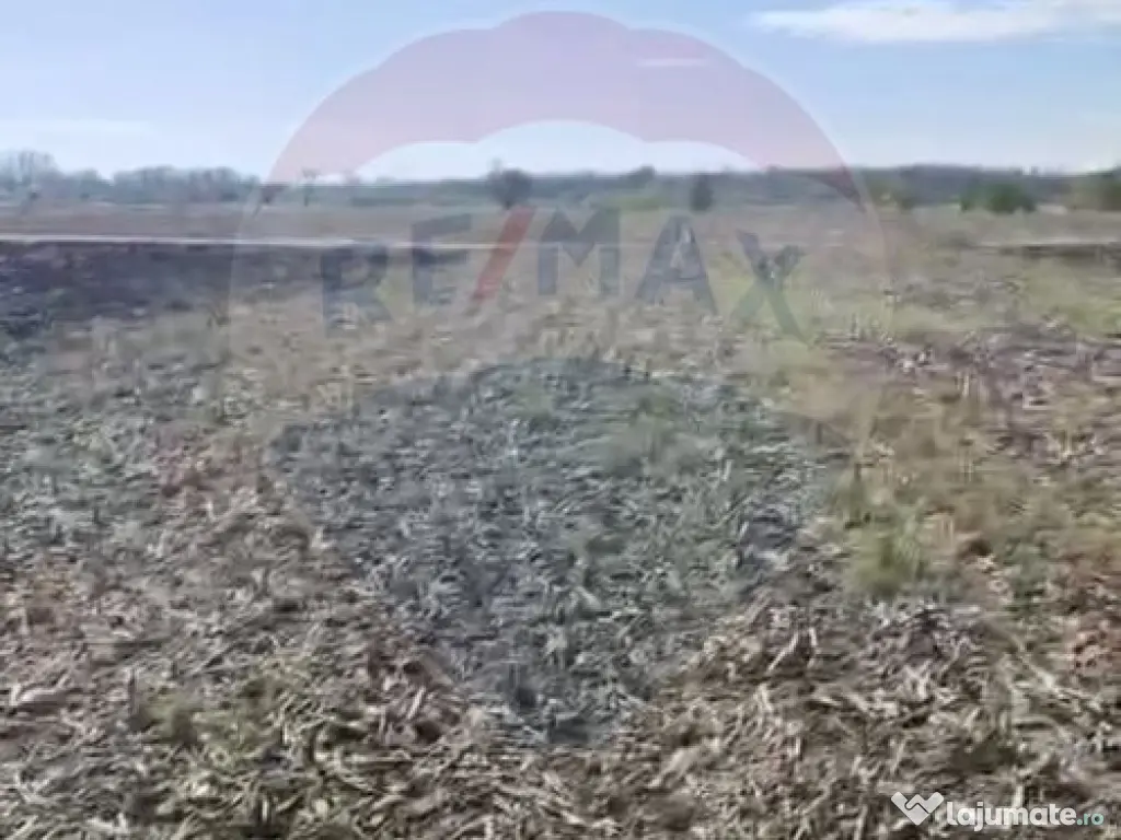 Teren 5,000mp Sat Tantava Strada Tufan