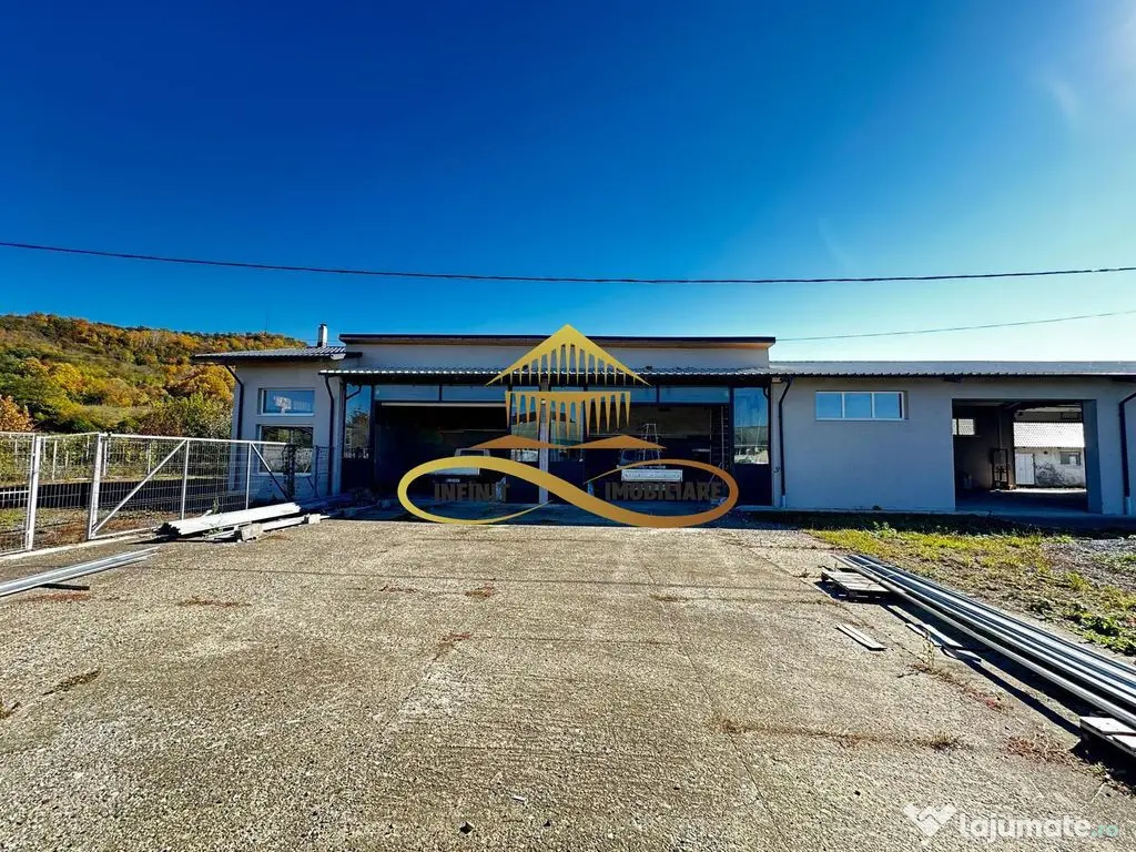 Hala de inchiriat 250 mp si spatiu ideal service AUTO Buh... 