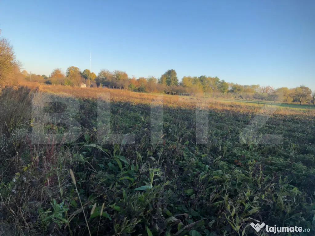 Casa bătrânească, 1500 mp teren, comuna Pomi