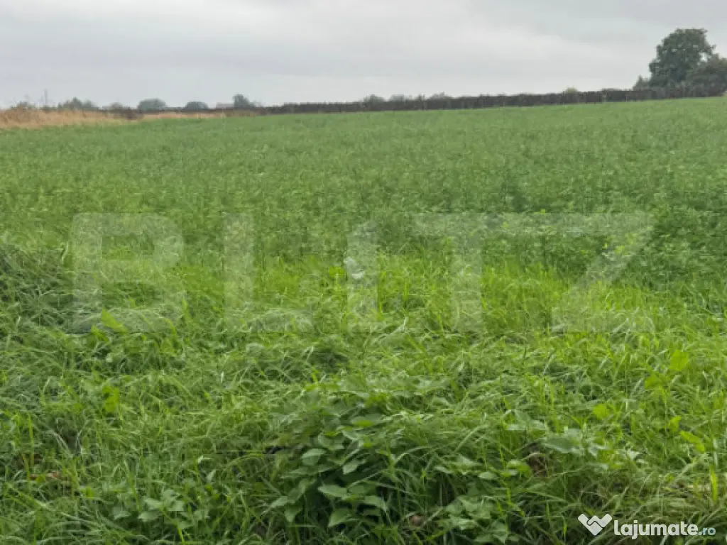 Teren intravilan, 1213 mp, front 24 ml, la ieșirea din Suce