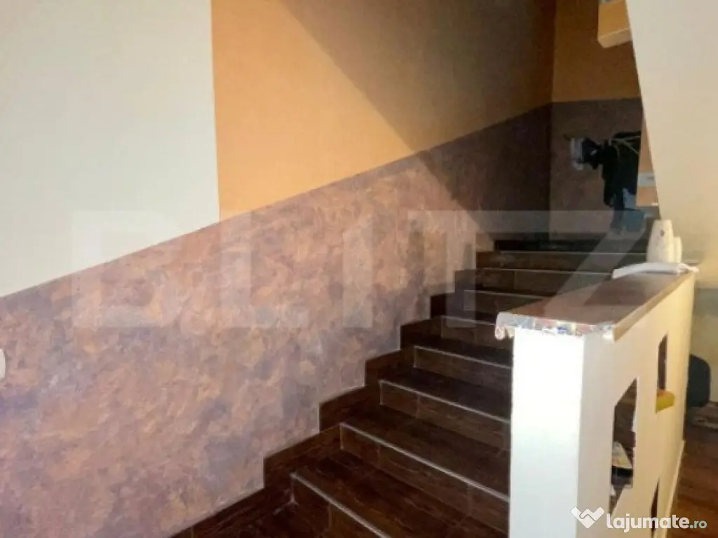 2 Case in aceeasi curte, 500 mp, zona Miroslava-Family Mark