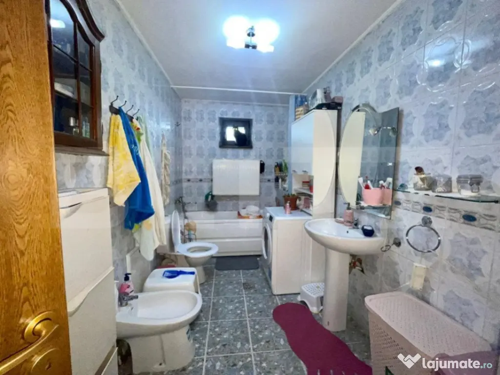 2 Case in aceeasi curte, 500 mp, zona Miroslava-Family Mark