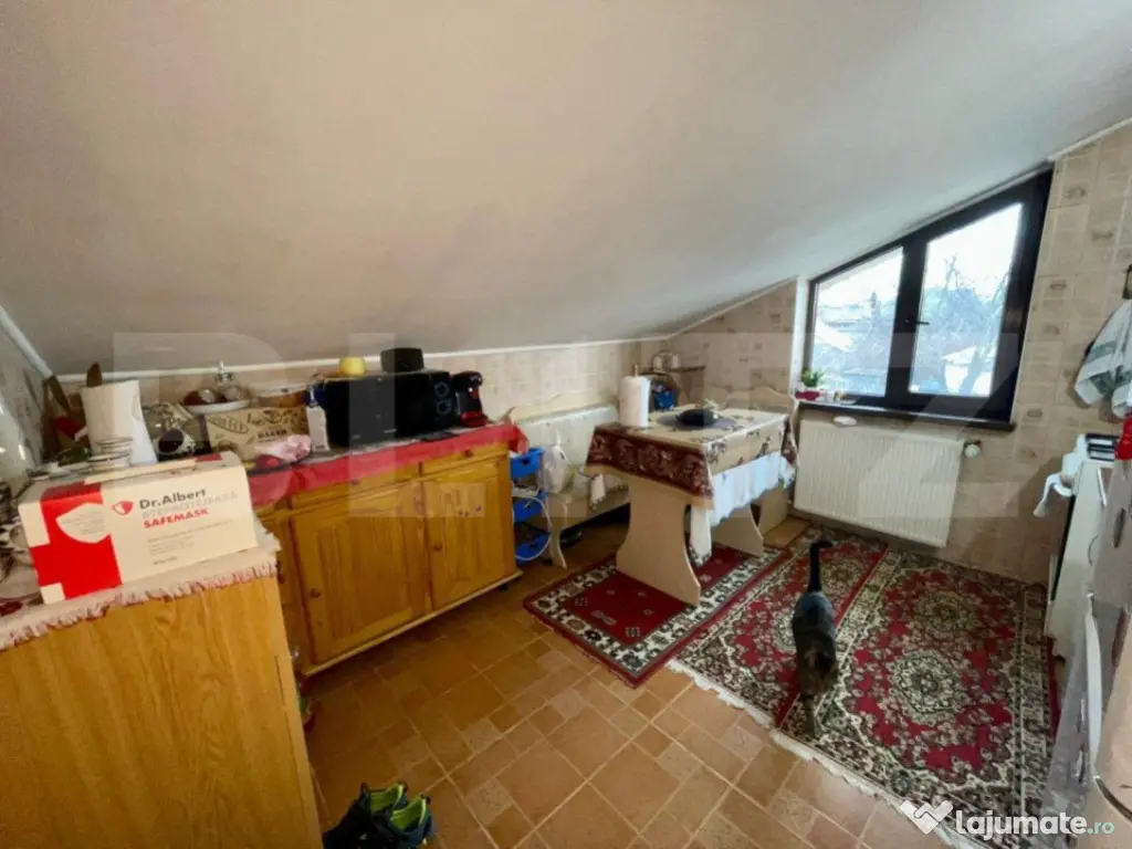 2 Case in aceeasi curte, 500 mp, zona Miroslava-Family Mark