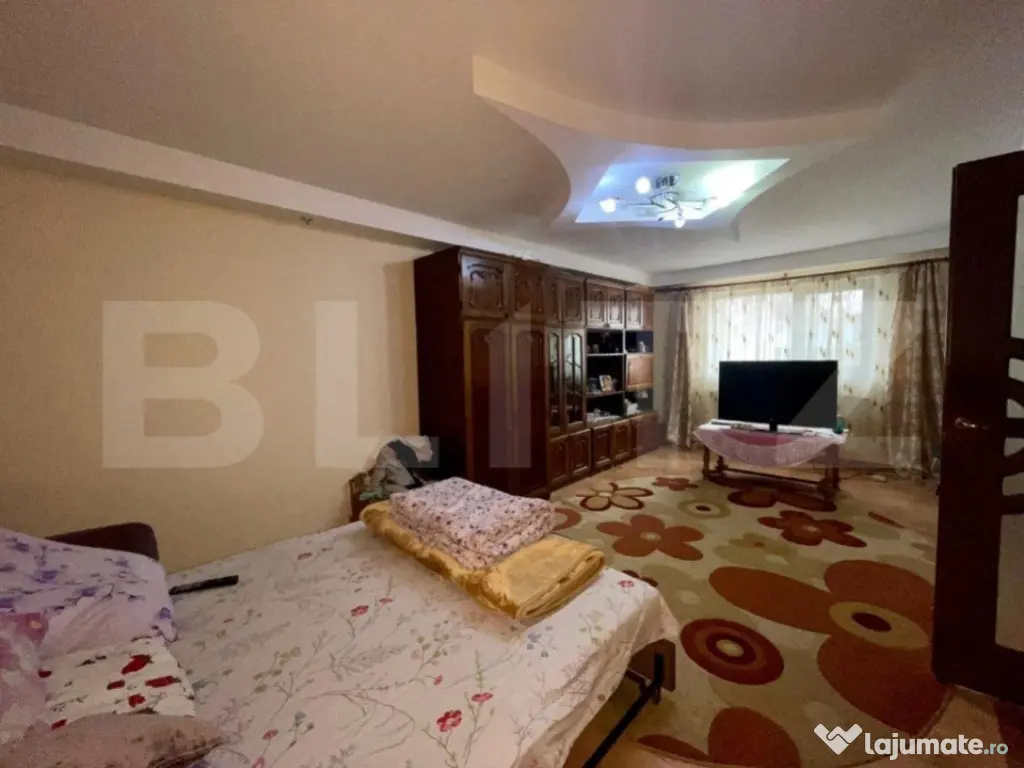 2 Case in aceeasi curte, 500 mp, zona Miroslava-Family Mark