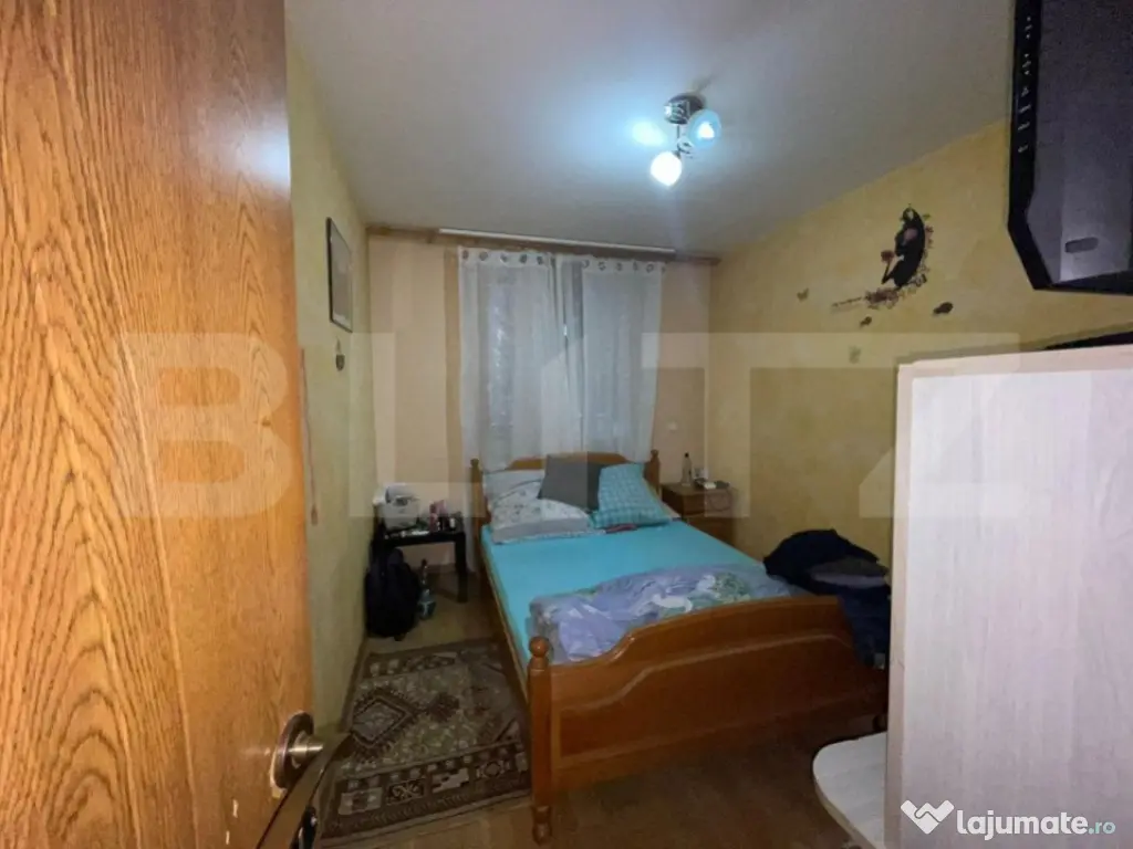 2 Case in aceeasi curte, 500 mp, zona Miroslava-Family Mark