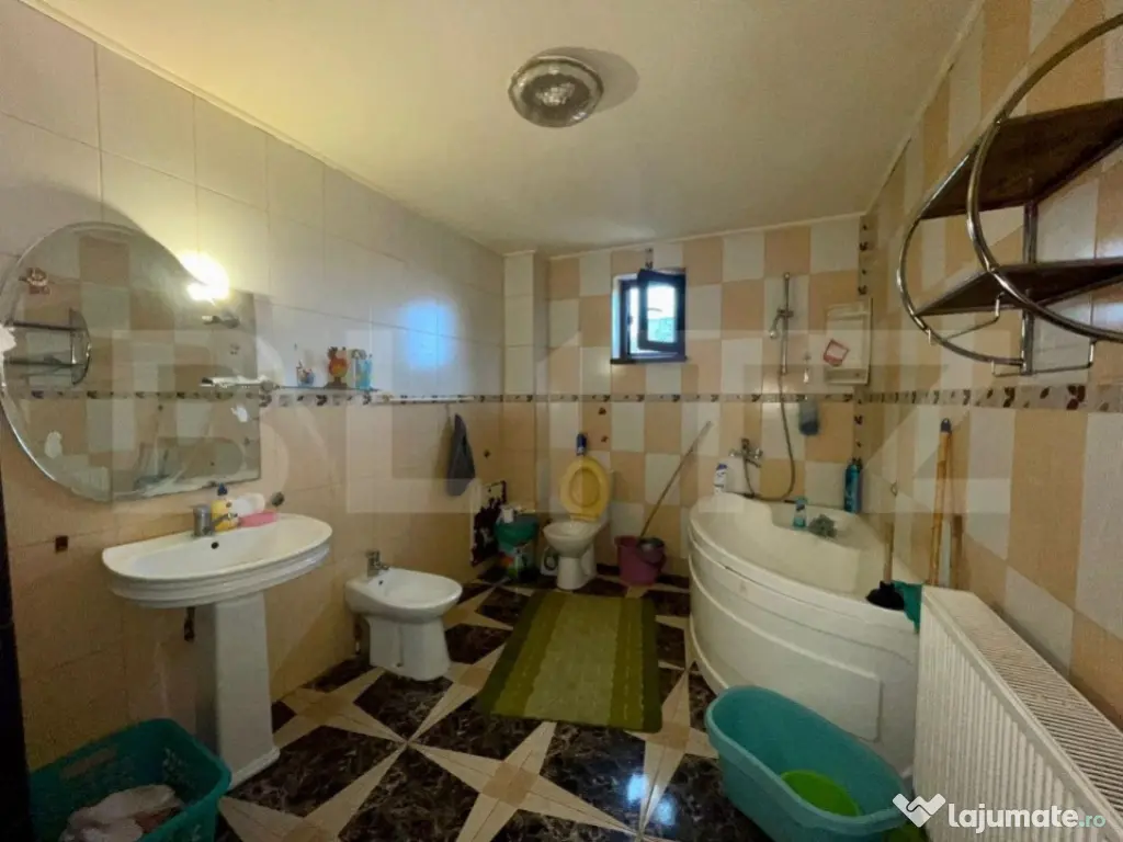 2 Case in aceeasi curte, 500 mp, zona Miroslava-Family Mark