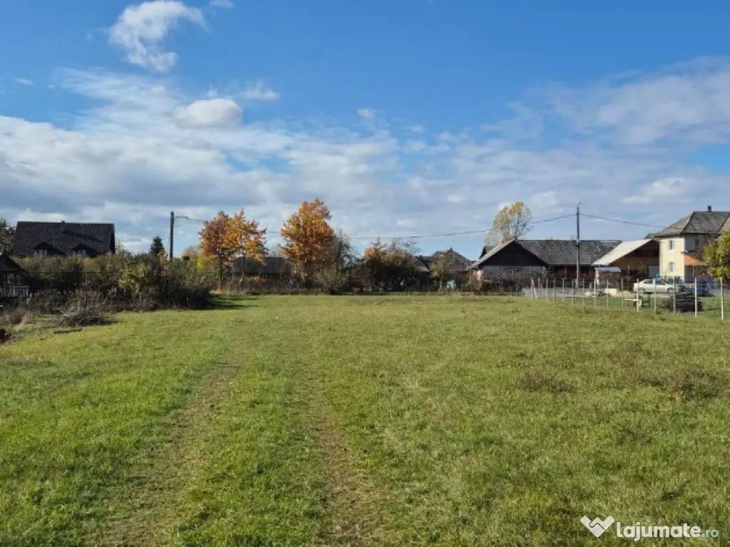 Chechis, 27 ari teren intrav.