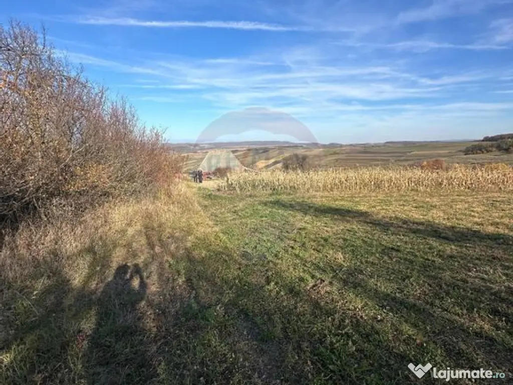 DE VANZARE - teren in ograda 