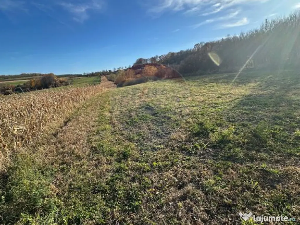 DE VANZARE - teren in ograda 