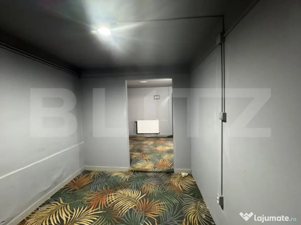 Spatiu comercial, 74 mp, Rovinari