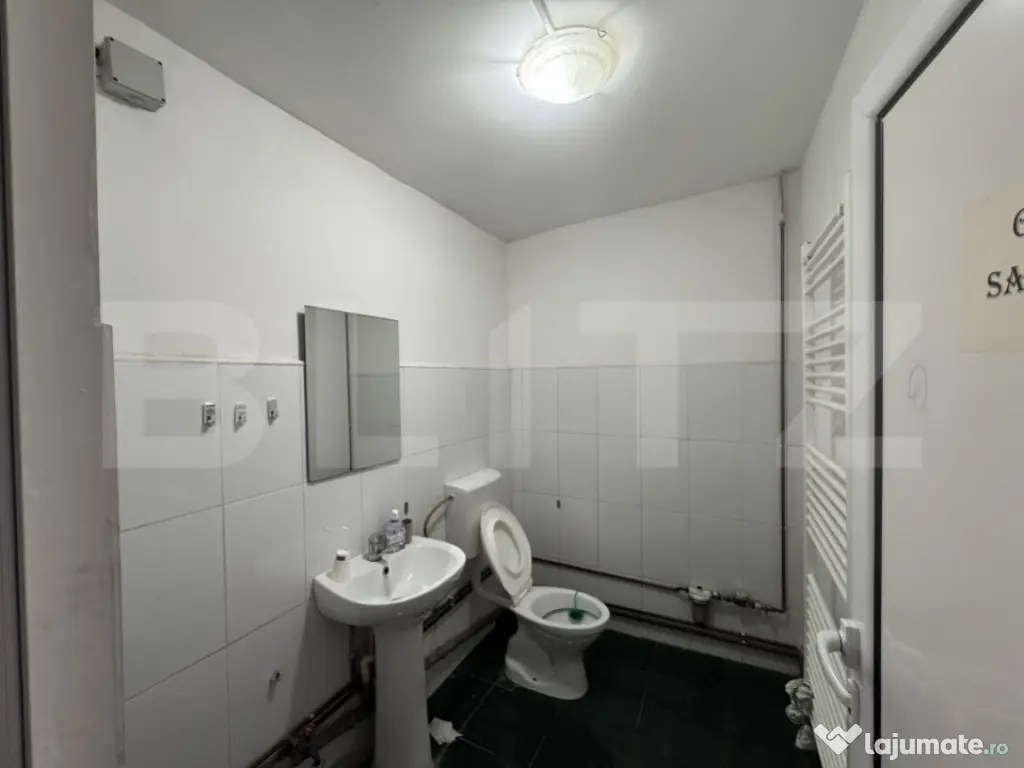 Spatiu comercial, 74 mp, Rovinari