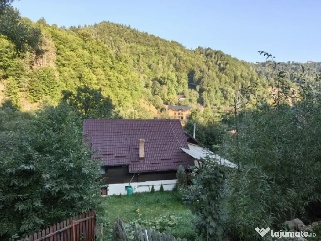 Vila/ pensiune - 11 camere - Moieciu de jos 