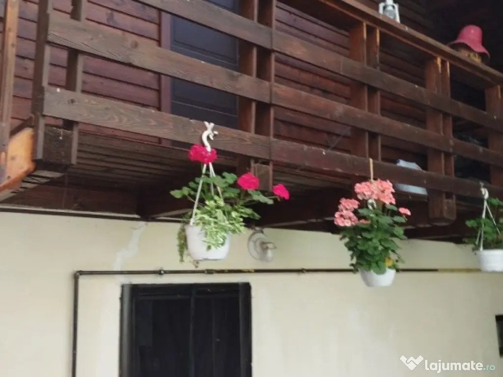 Vila/ pensiune - 11 camere - Moieciu de jos 