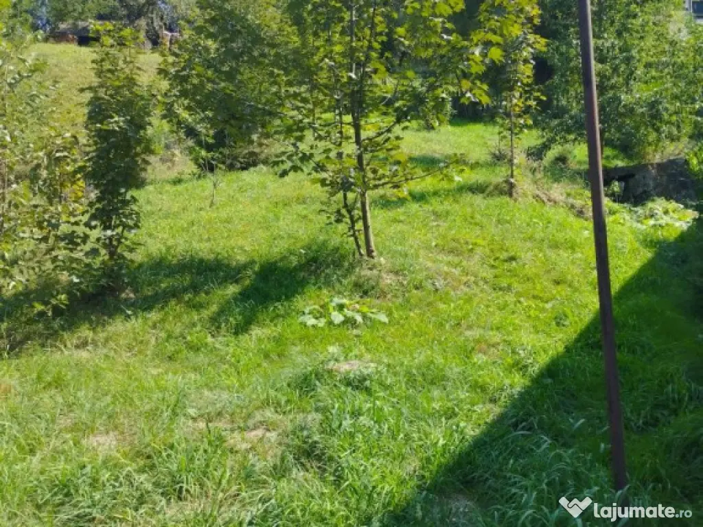 Vila/ pensiune - 11 camere - Moieciu de jos 