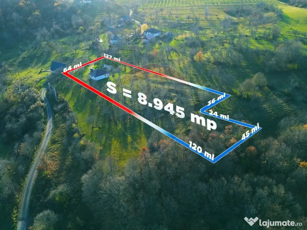 De vanzare: Casa traditională cu teren mare, ideal pentr...