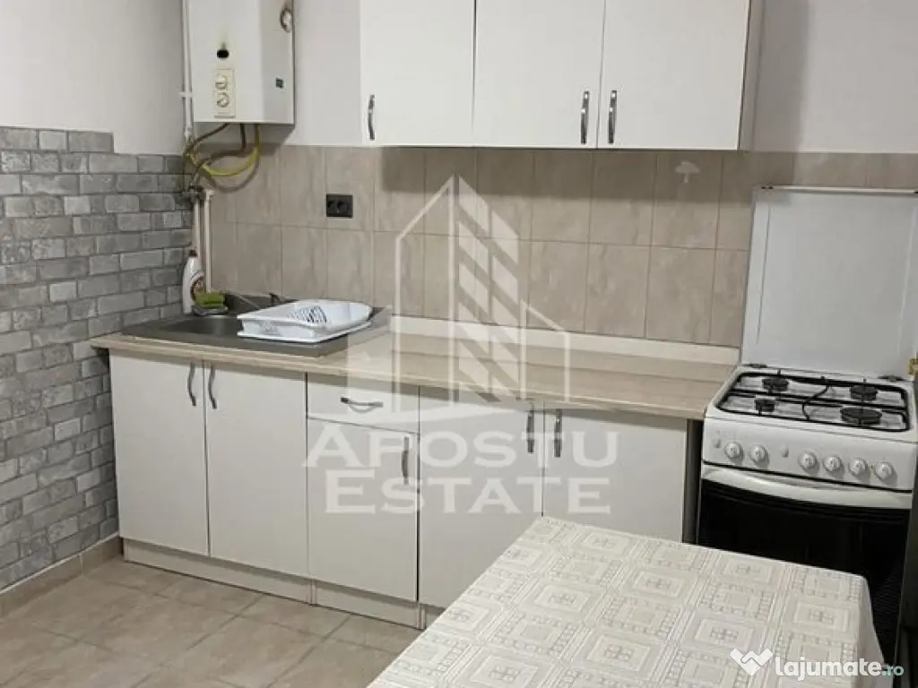 Apartament ca casa, 1 Camera, pet friendly, Mehala 