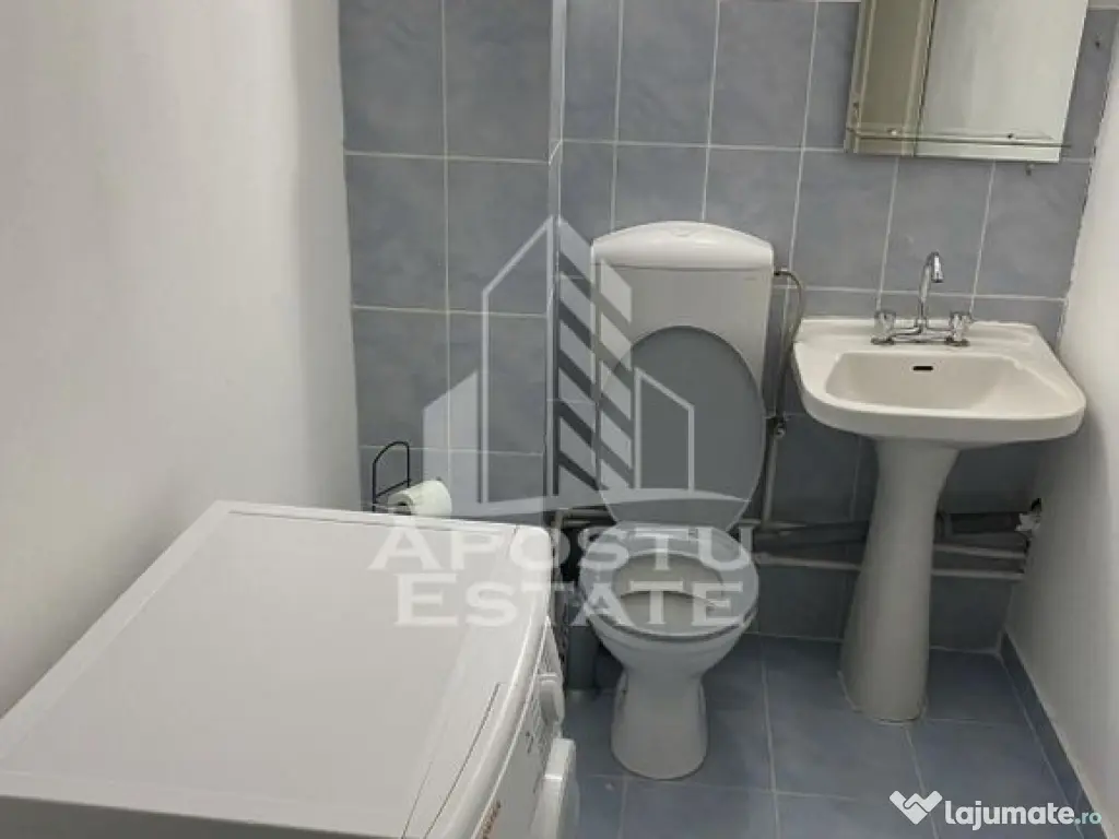 Apartament ca casa, 1 Camera, pet friendly, Mehala 