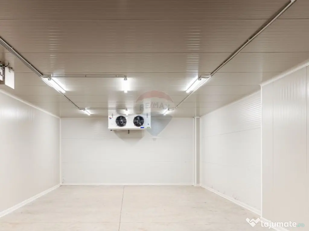 Plantatie de afin din Romania BUSINESS DE VANZARE 