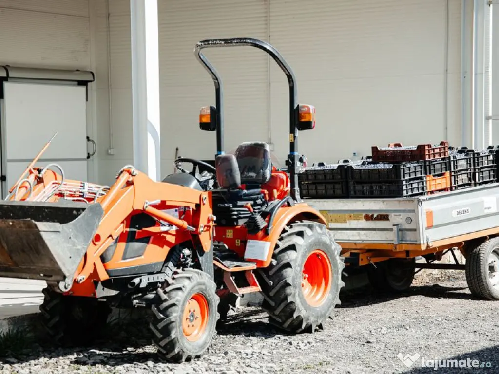 Plantatie de afin din Romania BUSINESS DE VANZARE 