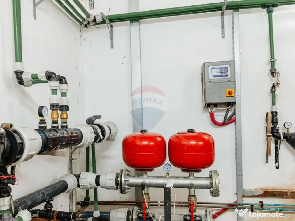 Plantatie de afin din Romania BUSINESS DE VANZARE 