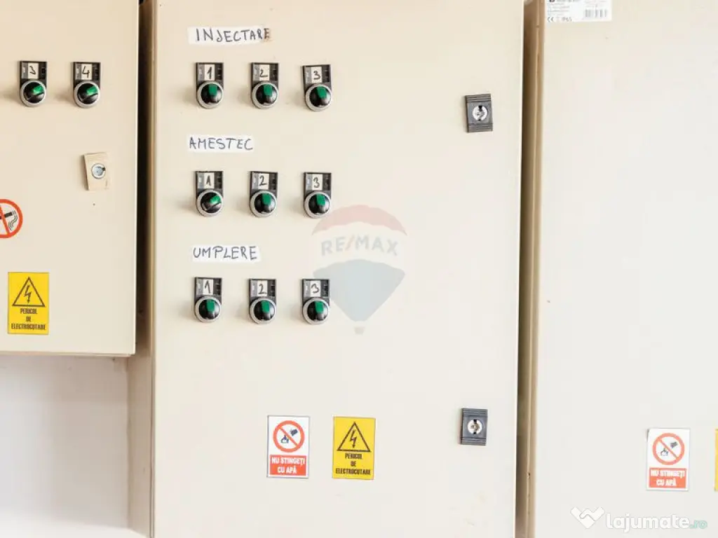 Plantatie de afin din Romania BUSINESS DE VANZARE 