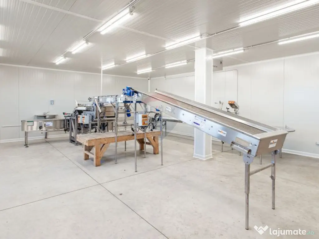 Plantatie de afin din Romania BUSINESS DE VANZARE 