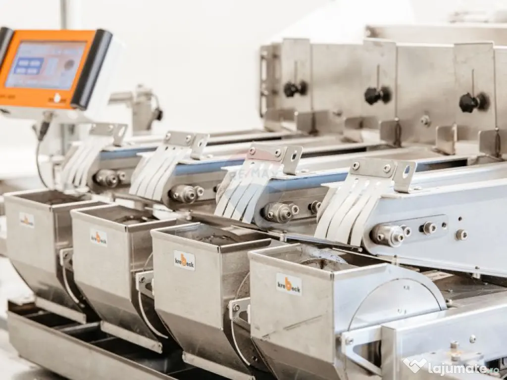 Plantatie de afin din Romania BUSINESS DE VANZARE 