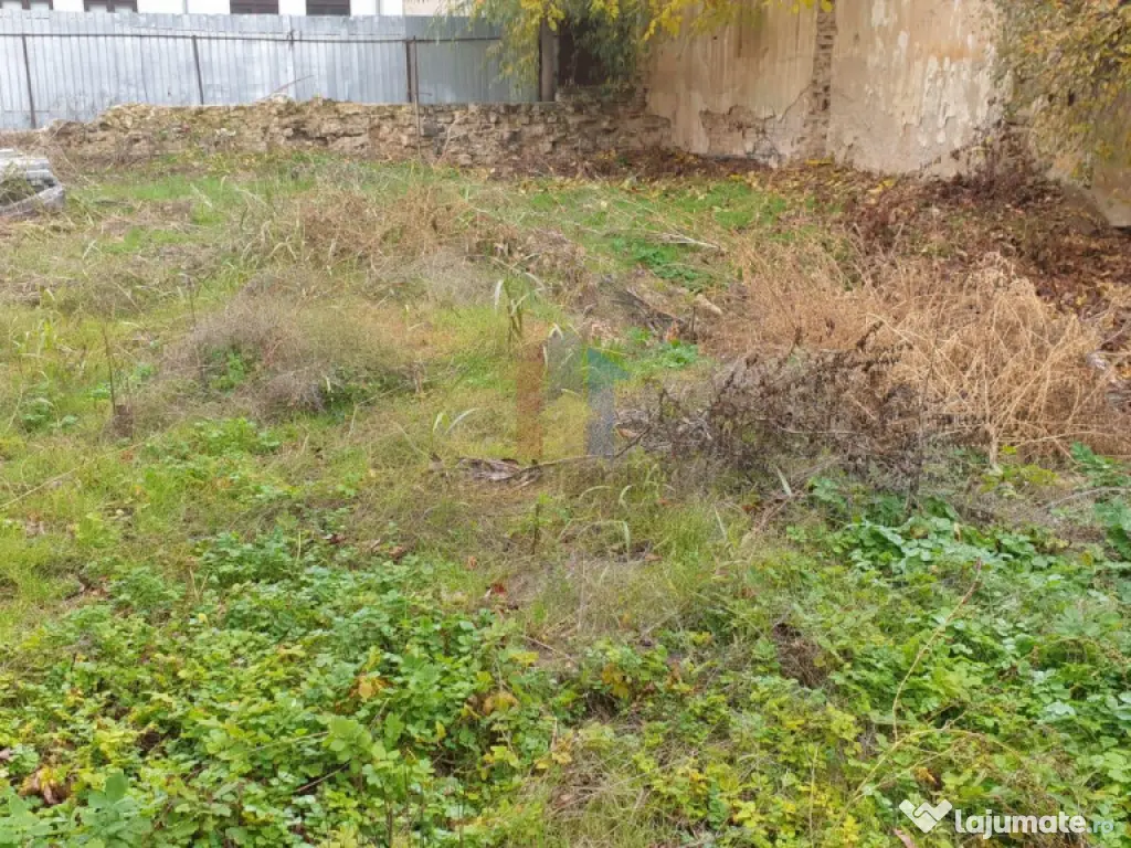 Ultracentral - Lic. Balcescu, P 1, 900mp construiti, teren 1 