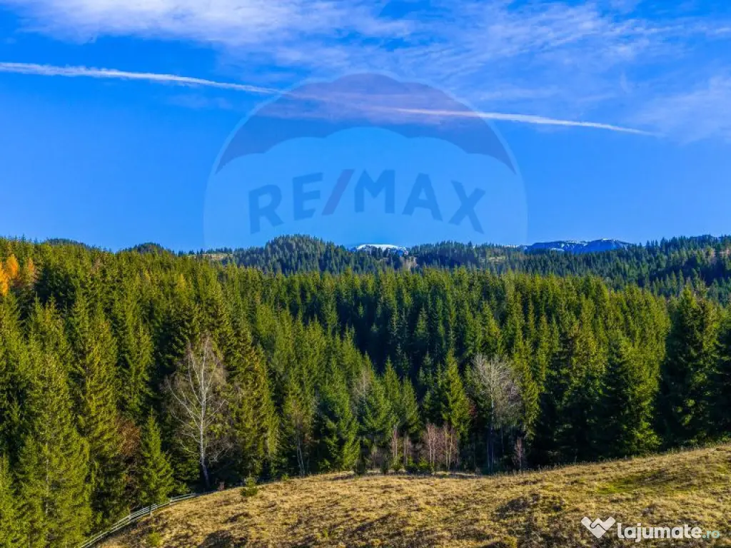 COMISION 0% Teren 13,800mp Fundatica / Intravilan 