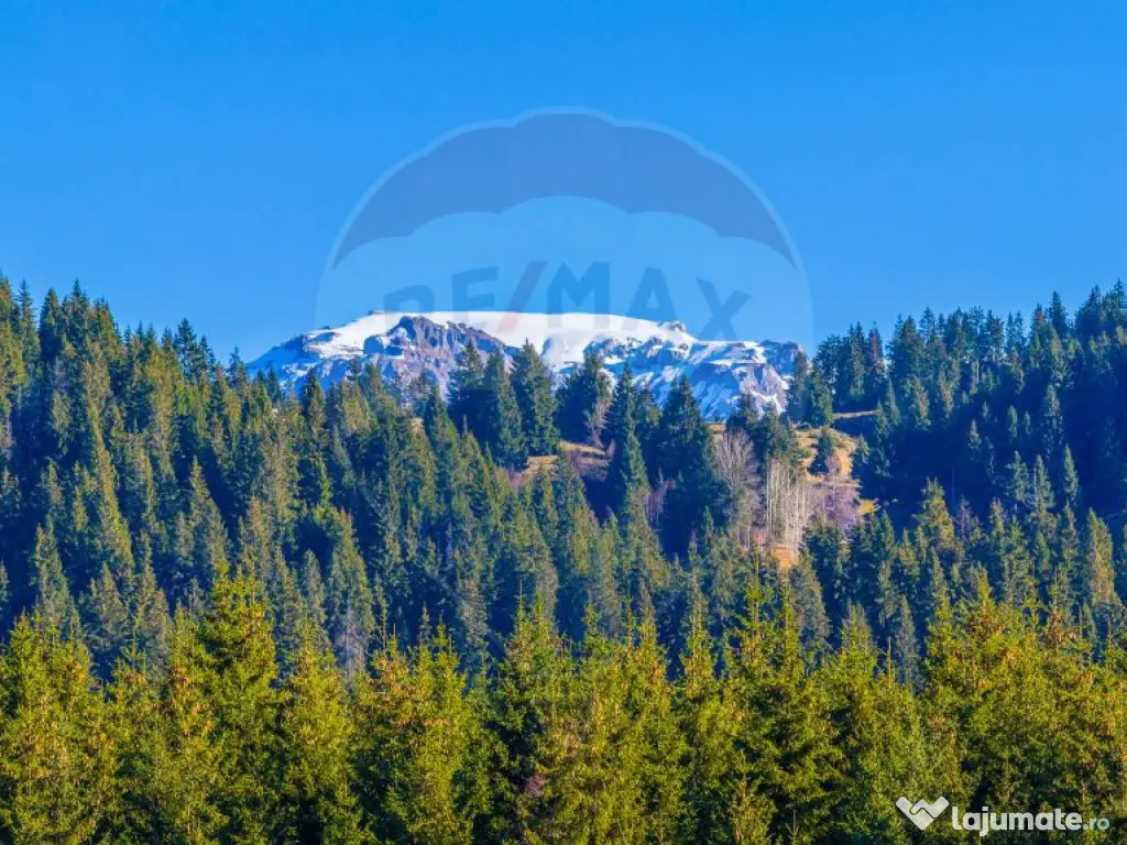 COMISION 0% Teren 13,800mp Fundatica / Intravilan 