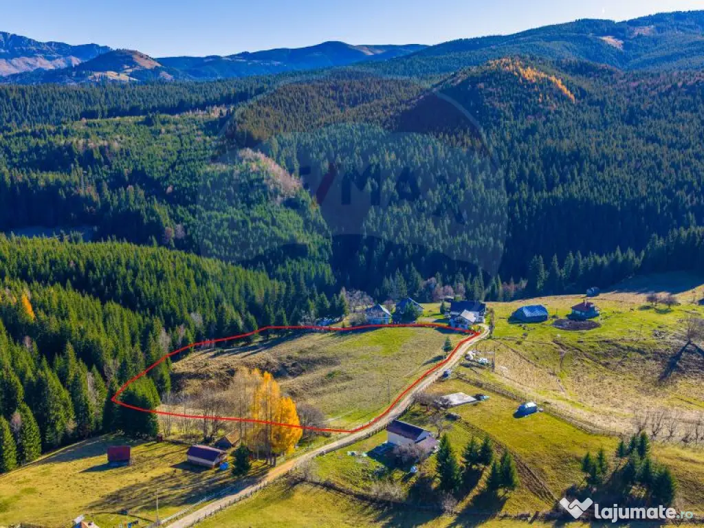 COMISION 0% Teren 13,800mp Fundatica / Intravilan 