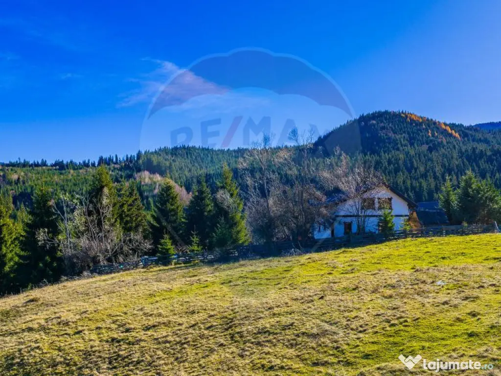 COMISION 0% Teren 13,800mp Fundatica / Intravilan 