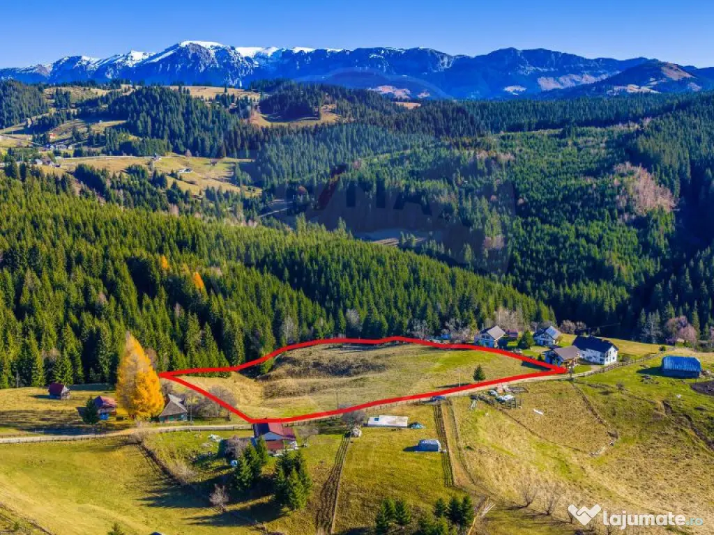 COMISION 0% Teren 13,800mp Fundatica / Intravilan 