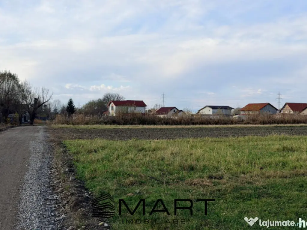 Teren Extravilan 15.000 mp Prejmer