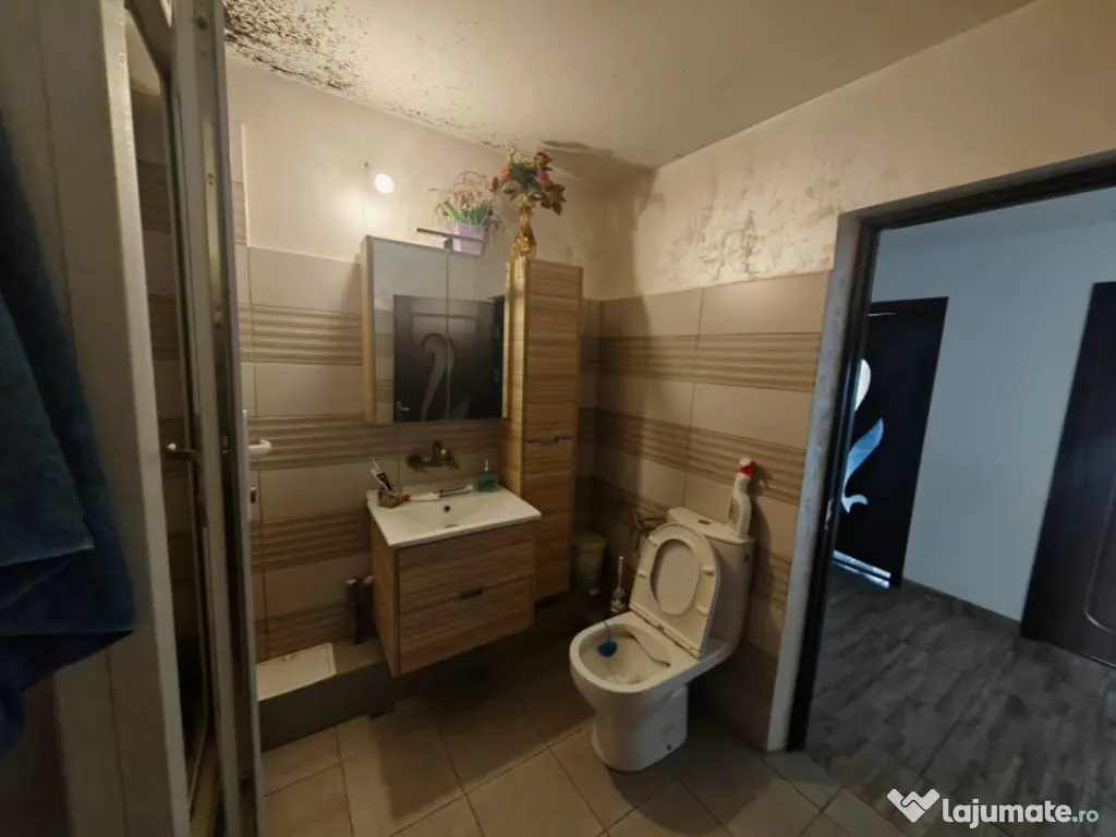 Constructie S+P+1E+M si teren 2000 mp, I.L. Caragiale, Dambo 