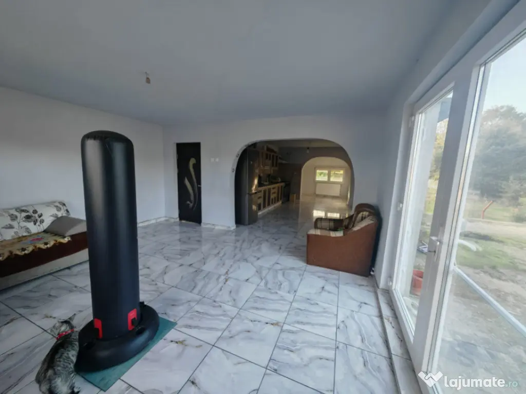 Constructie S+P+1E+M si teren 2000 mp, I.L. Caragiale, Dambo 