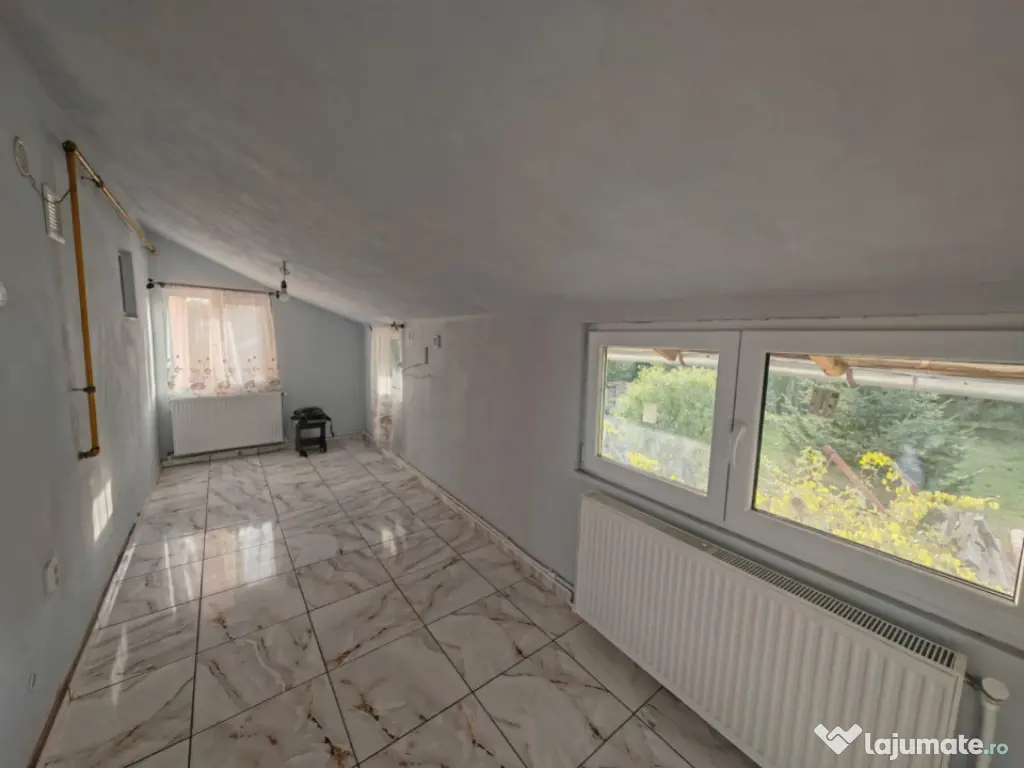 Constructie S+P+1E+M si teren 2000 mp, I.L. Caragiale, Dambo 