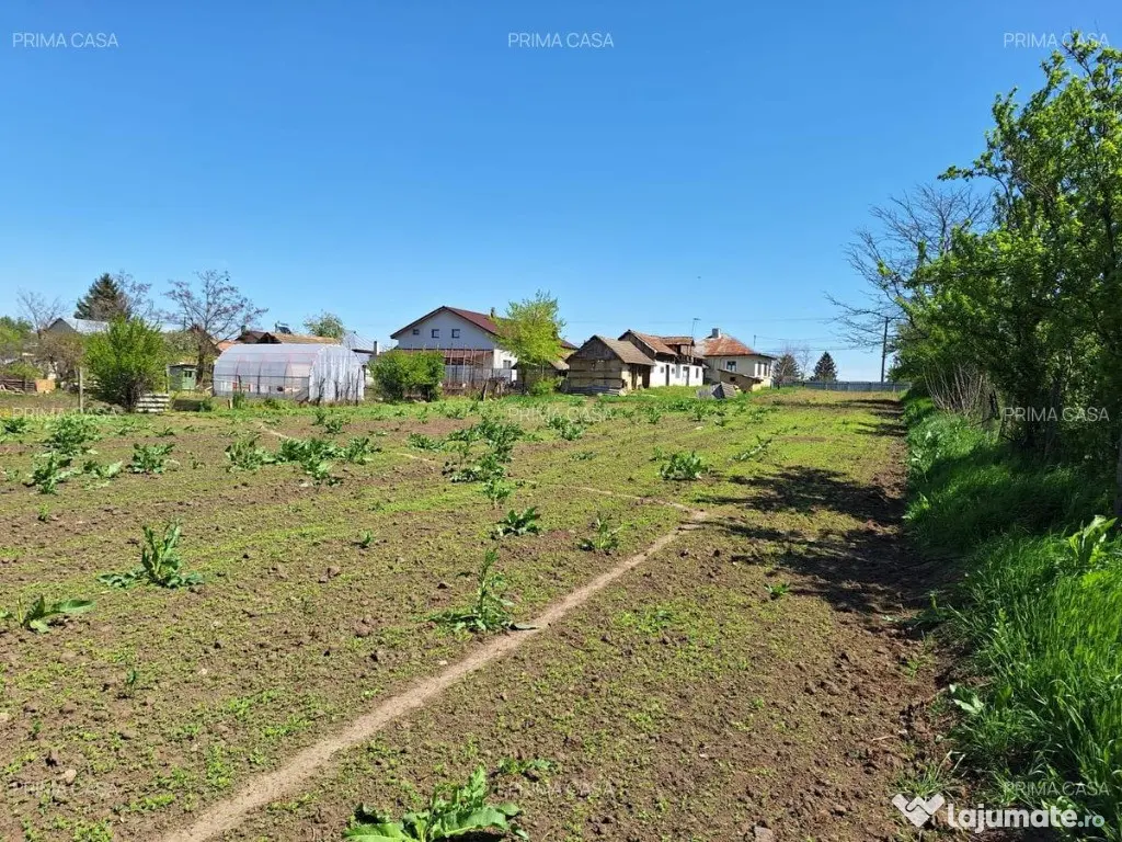 Teren + Casă bătrânească | Comuna Smeeni, jud. Buzău | 2.878 mp | 